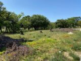 Terrain à bâtir à Grignan (26230) 2062318-6150annonce220250125Z0iu4.jpeg Maisons France Confort