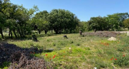 Grignan Terrain à bâtir - 2062318-6150annonce220250125Z0iu4.jpeg Maisons France Confort