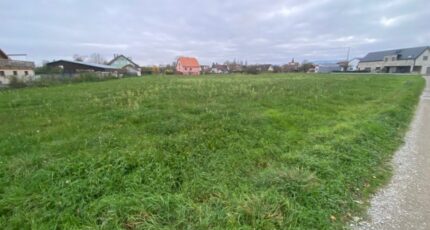 Guémar Terrain à bâtir - 2108672-11003annonce320250317fv58r.jpeg Maisons France Confort
