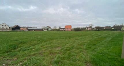 Guémar Terrain à bâtir - 2108673-11003annonce320250317LZmzd.jpeg Maisons France Confort