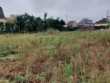 Terrain à bâtir à Dessenheim (68600) 2109097-5767annonce1202503172nkDU.jpeg Maisons France Confort