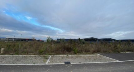 Colmar Maison neuve - 2108794-11003annonce220250317qMgWS.jpeg Maisons France Confort