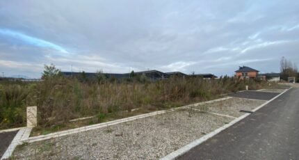 Colmar Maison neuve - 2108794-11003annonce3202503179cLVu.jpeg Maisons France Confort