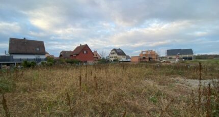 Colmar Maison neuve - 2108834-11003annonce220250317Ondd2.jpeg Maisons France Confort
