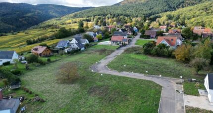 Osenbach Terrain à bâtir - 2109404-11028annonce220250318nLNem.jpeg Maisons France Confort