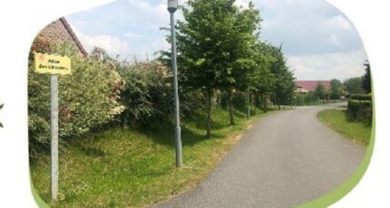 Villereau Maison neuve - 2043843-5986annonce320250109gPRK2.jpeg Maisons France Confort