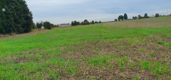 Terrain à bâtir à Monchy-Breton, Hauts-de-France