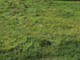 Maison à construire à Champsecret (61700) 2111274-1153annonce120241120IpRAD.jpeg Maisons France Confort