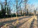 Terrain à bâtir à Trans-en-Provence (83720) 2057056-4529annonce3202501208MkEi.jpeg Maisons France Confort