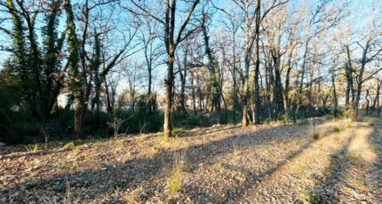 Trans-en-Provence Terrain à bâtir - 2057056-4529annonce3202501208MkEi.jpeg Maisons France Confort