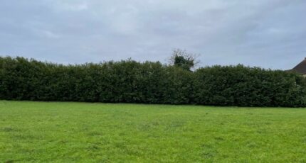 Châteauroux Terrain à bâtir - 2054095-10775annonce220250117DzdwO.jpeg Maisons France Confort