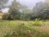 Terrain à bâtir à Cuers (83390) 2083945-9599annonce220250414LD2AZ.jpeg Maisons France Confort