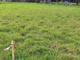 Maison à construire à Plaisance-du-Touch (31830) 2113360-9555annonce1202503212F7wo.jpeg Maisons France Confort