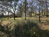 Maison à construire à Bouloc (31620) 2114117-5604annonce120250321Q9bAA.jpeg Maisons France Confort