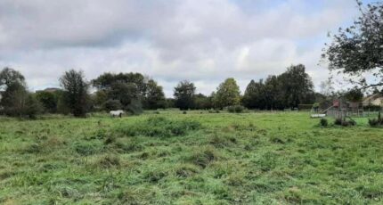 Beuzeville Terrain à bâtir - 2086654-11227annonce120250227hLMh3.jpeg Maisons France Confort