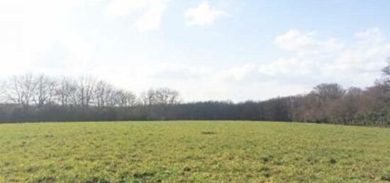 Terrain à bâtir à Villiers-au-Bouin, Centre-Val de Loire