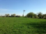 Terrain à bâtir à Cerelles (37390) 2079977-10650annonce120250214ahKxI.jpeg Maisons France Confort