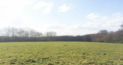 Amboise Terrain à bâtir - 2082610-10650annonce120250217LuQra.jpeg Maisons France Confort