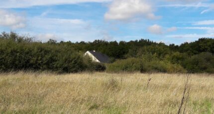 Neuillé-Pont-Pierre Terrain à bâtir - 2082617-10650annonce120250217rSaSD.jpeg Maisons France Confort