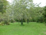 Terrain à bâtir à Charentilly (37390) 2082625-10650annonce120250217ac2o5.jpeg Maisons France Confort