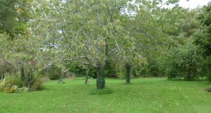 Charentilly Terrain à bâtir - 2082625-10650annonce120250217ac2o5.jpeg Maisons France Confort