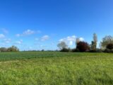 Terrain à bâtir à Cerelles (37390) 2082629-10650annonce120250217K0ov7.jpeg Maisons France Confort