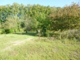 Terrain à bâtir à Vernou-sur-Brenne (37210) 2082637-10650annonce120250217DDTvH.jpeg Maisons France Confort