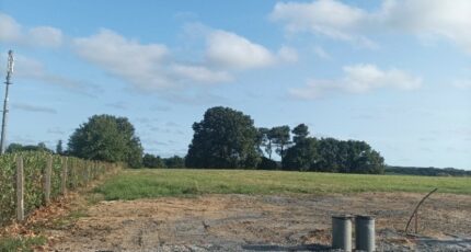 Apremont Maison neuve - 2117352-10941annonce120240725c0x6P.jpeg Maisons France Confort