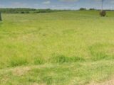 Maison à construire à Warmeriville (51110) 2117204-10076annonce120250325hPpdP.jpeg Maisons France Confort