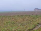 Terrain à bâtir à Haute-Avesnes (62144) 2083988-6159annonce320250219qPSeu.jpeg Maisons France Confort
