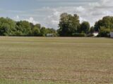 Maison à construire à Avize (51190) 2118108-10076annonce120250326KrGrK.jpeg Maisons France Confort
