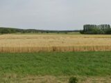 Terrain à bâtir à Raedersdorf (68480) 2119273-11139annonce1202503274PzTq.jpeg Maisons France Confort