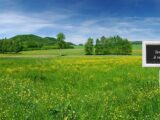 Terrain à bâtir à Ancy-le-Franc (89160) 2118135-11181annonce120250326z7roo.jpeg Maisons France Confort