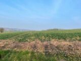Terrain à bâtir à Férin (59169) 2088111-10617annonce3202502230RXlW.jpeg Maisons France Confort