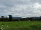 Terrain à bâtir à Pignans (83790) 2120952-9599annonce2202503305bhlF.jpeg Maisons France Confort