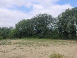 Maison à construire à Roynac (26450) 2092377-812annonce220241105GsnXo.jpeg Maisons France Confort