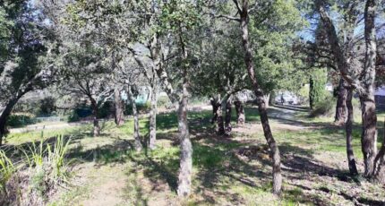 Vidauban Maison neuve - 2121613-11039annonce220250331LMqM6.jpeg Maisons France Confort