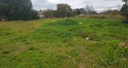 Pézenas Terrain à bâtir - 2121611-10896annonce220250331kiXR8.jpeg Maisons France Confort