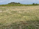 Terrain à bâtir à Gignac (34150) 2122019-10896annonce2202504013CTki.jpeg Maisons France Confort