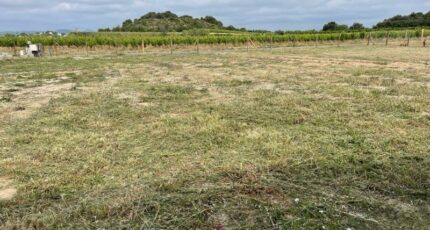 Gignac Terrain à bâtir - 2122019-10896annonce2202504013CTki.jpeg Maisons France Confort