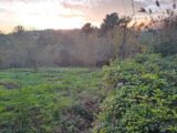 Terrain à bâtir à Vence (06140) 2122686-10316annonce220241207HoTg4.jpeg Maisons France Confort