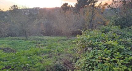 Vence Terrain à bâtir - 2122686-10316annonce220241207HoTg4.jpeg Maisons France Confort