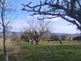 Terrain à bâtir à Berrias-et-Casteljau (07460) 2122759-5100annonce120250402nu3nT.jpeg Maisons France Confort