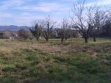 Terrain à bâtir à Berrias-et-Casteljau (07460) 2122759-5100annonce220250402nvfTr.jpeg Maisons France Confort