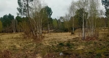 Le Teich Terrain à bâtir - 2122884-11244annonce120250402KONZ1.jpeg Maisons France Confort