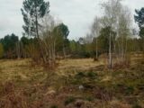 Terrain à bâtir à Gujan-Mestras (33470) 2122913-11244annonce120250402NzGCR.jpeg Maisons France Confort