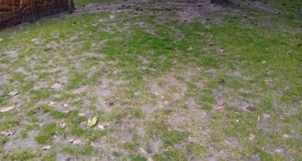Andernos-les-Bains Maison neuve - 2123174-11244annonce120250402H5XFv.jpeg Maisons France Confort