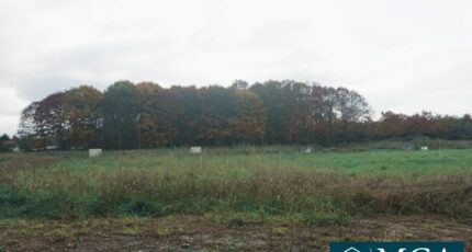 Argagnon Terrain à bâtir - 2112146-5828annonce1202503203ureV.jpeg Maisons France Confort