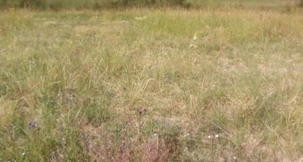Francescas Terrain à bâtir - 2123772-3231annonce120250403urzLz.jpeg Maisons France Confort