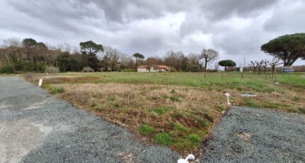 Les Mathes Terrain à bâtir - 2045502-3362annonce120250109TcQwf.jpeg Maisons France Confort